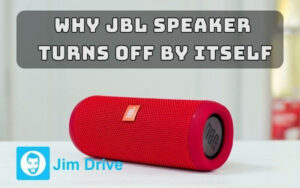 why jbl speaker turns off by itself